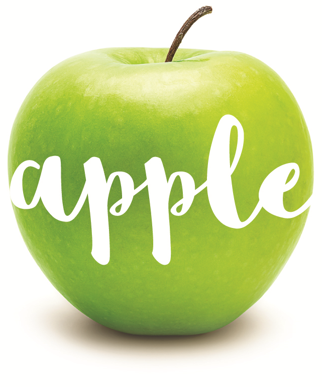 loading logo of the tour creator